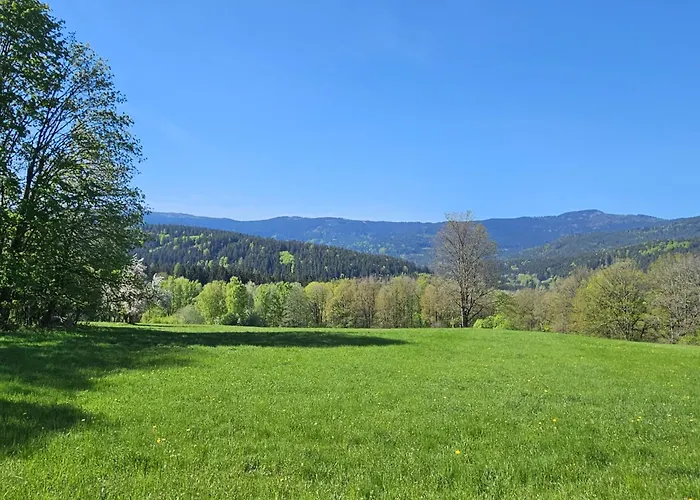 Lesni Apartman Hamry